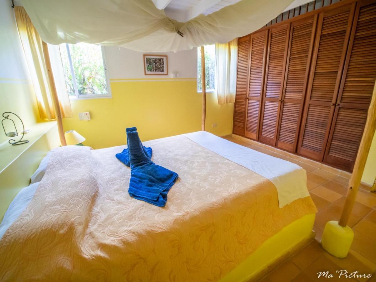 Residence Villas Les Hibiscus Las Terrenas Zewnętrze zdjęcie